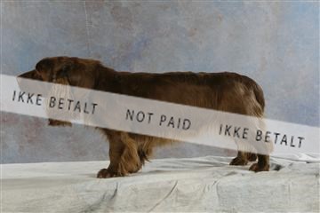 5493_sme _03__MG_9794.JPG