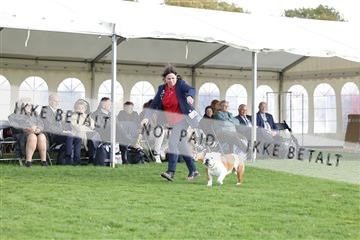 182009_kar_01__62_7391.JPG