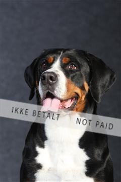 132082_le_ 01_IMG_0029.JPG