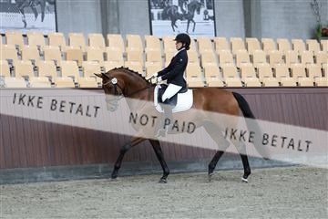 181852_mtp_01_R62_1213.JPG