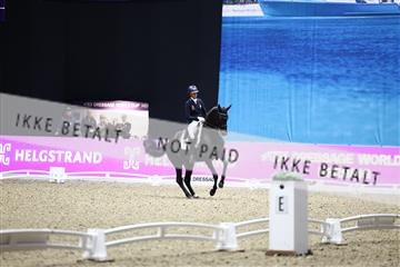 182194_avh_07_4439.JPG