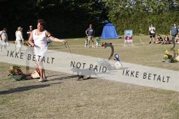 181848_kar_01__62_2980.JPG