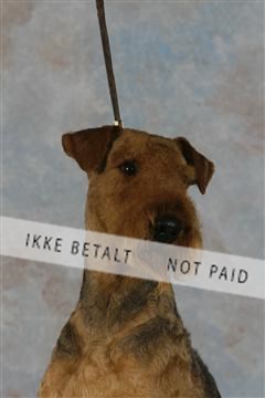 5493_sme _03__MG_9784.JPG