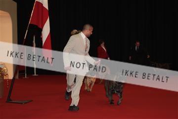 126827_tl_02_IMG_2800.JPG