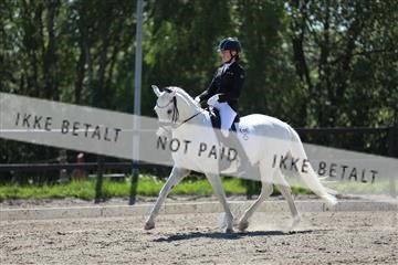 168732_mtp_01_3M5A6745.JPG