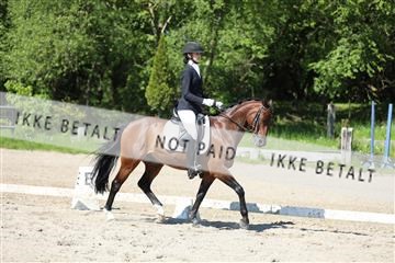 168732_mtp_01_3M5A6616.JPG