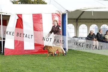 182009_kar_01__62_7387.JPG