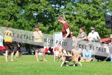 181564_rin_02_R62_3765.JPG