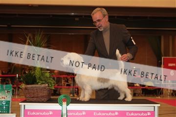 124188 _tl_02_IMG_9627.JPG