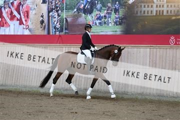 181887_mtp_02_R62_7380.JPG