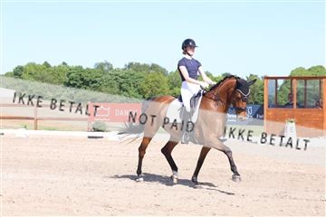 181449_bc_01R62_5925.JPG