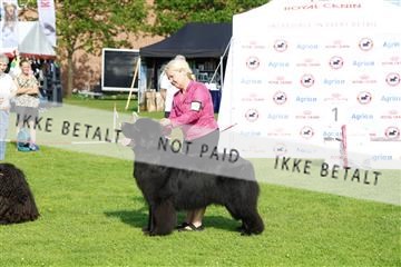 181564_kar_01__62_7401.JPG