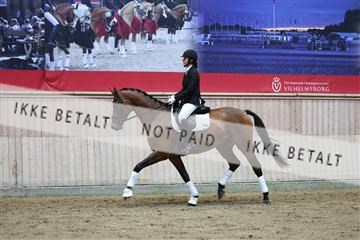 181887_mtp_02_R62_7684.JPG