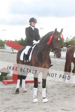 5365_sme _03_IMG_9708.JPG