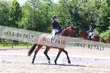181449_bc_01R62_5566.JPG