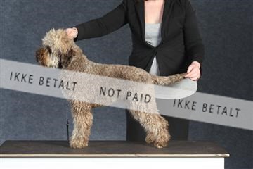 132082_le_ 01_IMG_1355.JPG