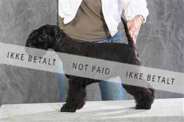 130054_le_ 03_0252.JPG