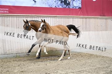 181754_kbb_01_Z092721.JPG
