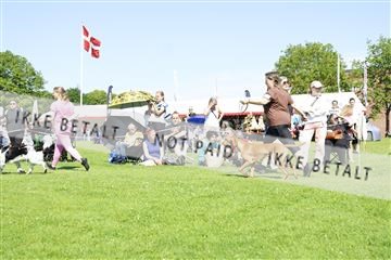 181564_kar_01__62_7974.JPG
