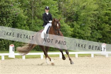 139835_sg_01_IMG_7771.JPG