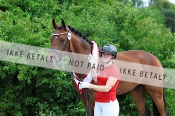 181756_mtp_01_R62_1804.JPG