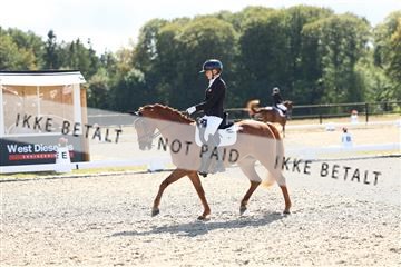 181894_mtp_02_R62_1772.JPG