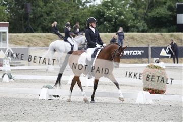 166078_rhj_01__J7R3453.JPG