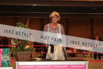 124188 _tl_02_IMG_9291.JPG