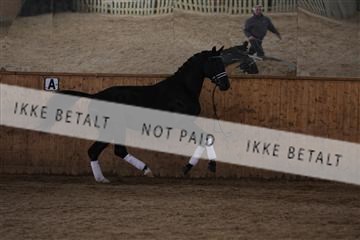 139206_kl_1_8M1Q5345.JPG