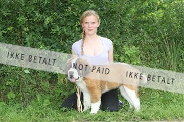 130370_se_01_IMG_5452.JPG