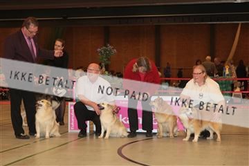 124188 _tl_02_IMG_9257.JPG