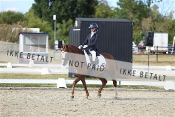 181894_mtp_05_R62_4976.JPG