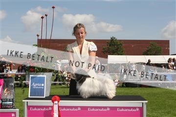 130370_se_03_IMG_7467.JPG