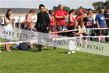 130370_se_02_IMG_6614.JPG
