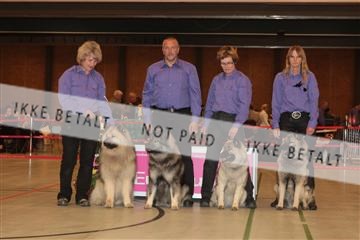 124188 _tl_02_IMG_9259.JPG