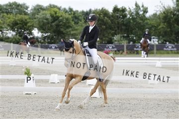 166078_rhj_01__J7R3085.JPG