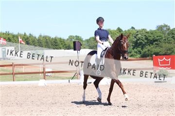 181449_bc_01R62_5771.JPG