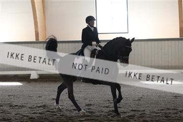 139267_kl_1_8M1Q7123.JPG