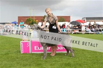 130370_le_02_IMG_8684.JPG
