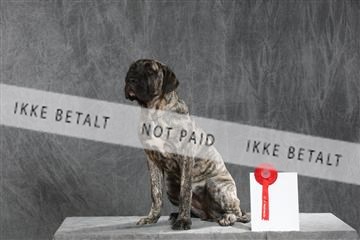 130054_le_ 03_0151.JPG