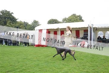 182009_kar_01__62_5482.JPG