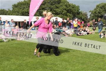 130370_tl_01_IMG_7572.JPG