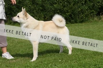 130370_le_02_IMG_8162.JPG