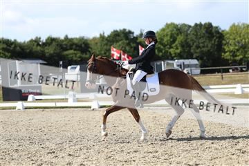 181894_mtp_05_R62_4871.JPG