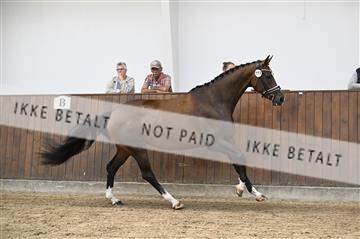 _Z091044.JPG