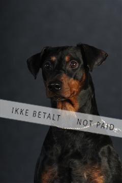 132082_le_ 01_IMG_0775.JPG