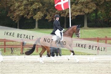 181923_mtp_04_R62_8978.JPG