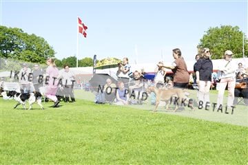 181564_kar_01__62_7976.JPG