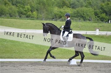 140040_abo_01__AB17061.JPG
