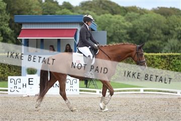 181957_mtp_01_3M5A7755.JPG